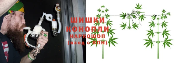 гашик Всеволожск