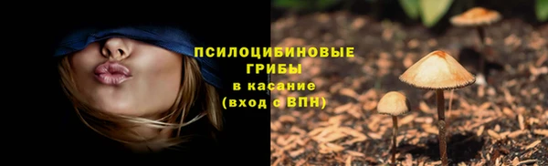 кокаин премиум Приозерск