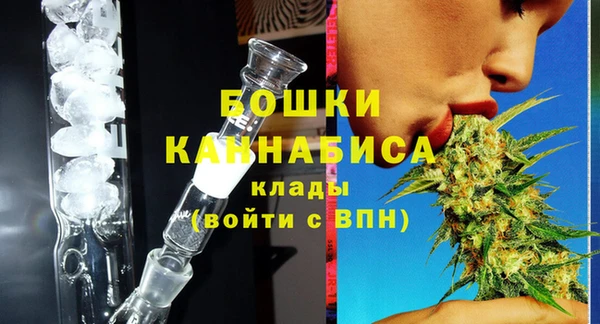 PSILOCYBIN Протвино